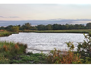 Tract 8 - LAND AUCTION - 440+/- Acres offered in 15 Tracts in Tulsa County